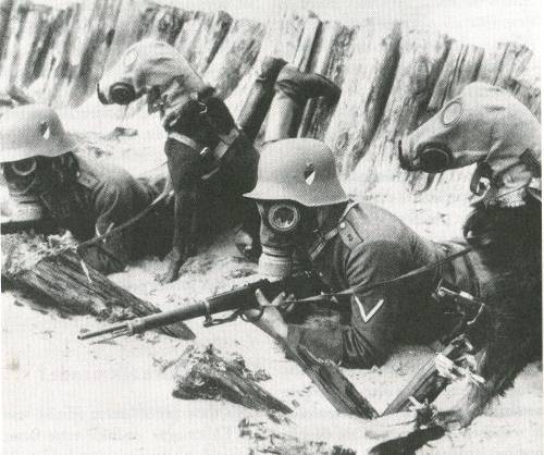 soldats allemands et leur chiens équipés de masques à gaz